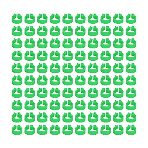 Omabeta 100PCS Reusable 8mm Pigeons Identification Leg Rings for Easy Dovecot Management and Marking, Lightweight Plastic Bands for Poultry Supplies (Green) - color: Green