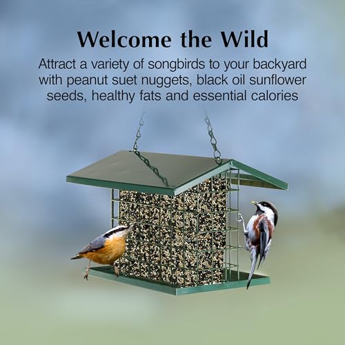 C&S Songbird Snak Seed Cakes for Wild Birds, Suet Nuggets | Bird seed cake with black oil sunflower seed, peanut suet nuggets, year-round feeding with less mess and waste