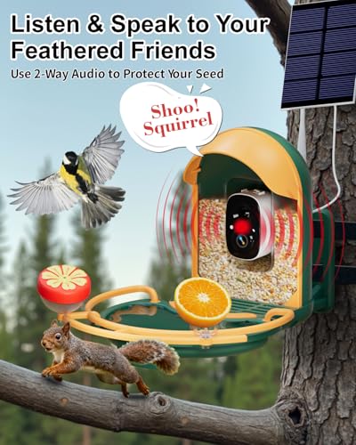 Bird Feeder with Camera, Smart Birdfeeder with Cam Solar Powered, 2K HD Video, AI Identification, Instant Arrival Alerts, IP66 Bird Bath & Feeder,Gift for BirdLover (with BirdBath, Dark Green) - color: Dark Green, style: With BirdBath