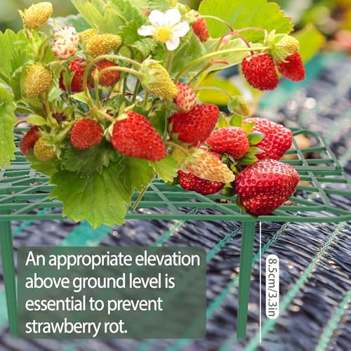 4 Sets Strawberry Plant Support with Mesh Plant Cover,Strawberry Growing Racks Sets with Iron Plant Nails and Storage Bag for Garden Strawberry Vegetables(White Net - Square) - color: White Net - Square