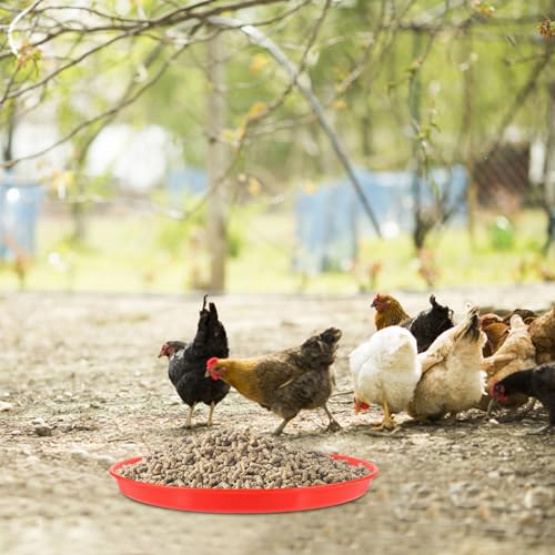 2 Pcs Poultry Feeding Tray and Water Feeder Plate Plastic Chick Feeder Pads for Chicken Coop Farm Use 310Mm Diameter Round Non-Toxic Plastic