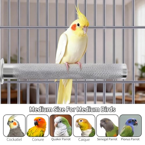 AOTU Large Bird Perch Stainless Steel Parrot Perches Bird Stand for Cage Durable Beak & Claw Trimming Grinding Perch for Birds Parrot Cage Accessory (M: 9.8" x 1.2") - size: M: 9.8" x 1.2"