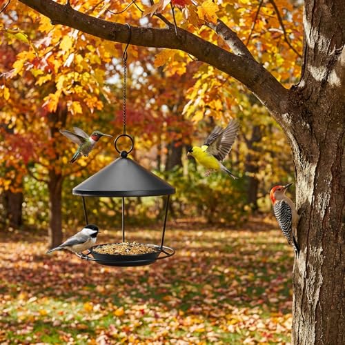 DoReFaSolWild Bird Feeders Hanging Balcony Bird Feeder Hanging Bird Bath | Bird Feeder for Outdoor Hanging Bird Bath and Feeder with Chain and Hook Hanging Bird Feeder with Roof Bird Feeder For Patio - size: S