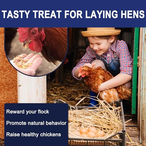 RANZ 20LBS Non-GMO Dried Mealworms for Chickens, High Protein Meal Worms, Premium Chicken Feed, Whole Large Mealworms for Blue Birds, Ducks, Fish - size: 20 Pound (Pack of 1)