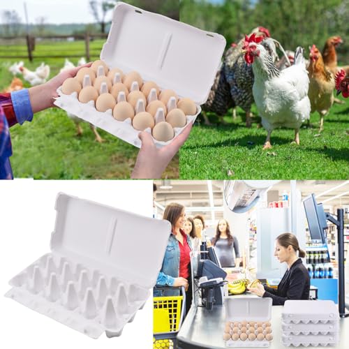 18 Pack 18 Count Paper Pulp Egg Cartons, Eco-Friendly Cardboard Egg Cartons Holds Up to 18 Eggs For Storing Extra Eggs, Crafting, Parts Storage, Easter & More