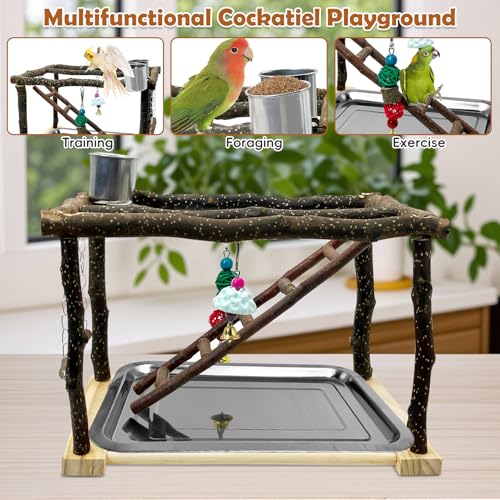 Tfwadmx Parrots Playstand Bird Play Gym Cockatiel Playground Wood Perch Stand Climb Swing Ladders Chewing Toys with Feeding Cups Exercise Activity Center for Conure Cockatiel Lovebirds