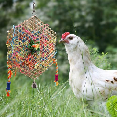 2 Pack Chicken Chewing Toys, Hanging Chick Foraging Shredder Toys, Suitable for Chicken Chick Parrot Cockatiel Conure African Grey Lovebird