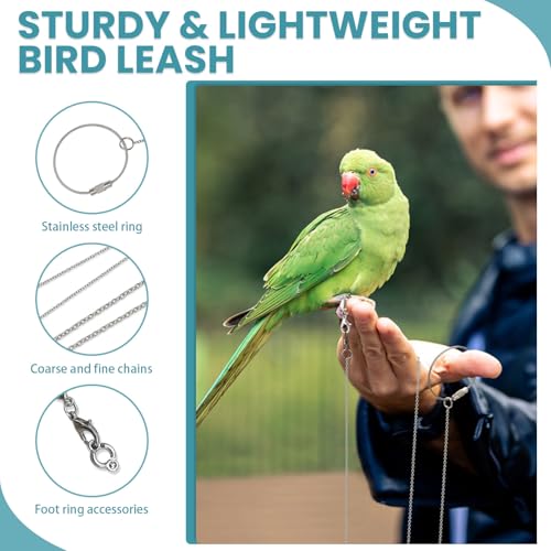LELE LIFE 2 Pack 39in Bird Leash with 5 Sizes Ankle Rings, Stainless Steel Anti-Bite Parrot Bird Harness Flying Toy Training Chain Leg Rope Outdoor Parrot Alloy Foot Ring