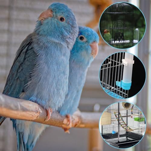 4 Pack Bird Cage Water Dispenser, Hanging Bird Water Feeder for Cage | Parakeet Water Dispenser for Cage, No Spill Automatic Feeder, Parakeet Cage Water Container for Small Birds Parrot Macaw - color: Mix-120ML