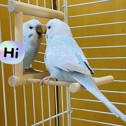 Bird Mirror Parakeet Mirror Perch Stand Wooden Swing Mirror Toy Cage Accessories for Cockatiel Parakeet Budgie Lovebird Small Parrots - size: 1 Pcs