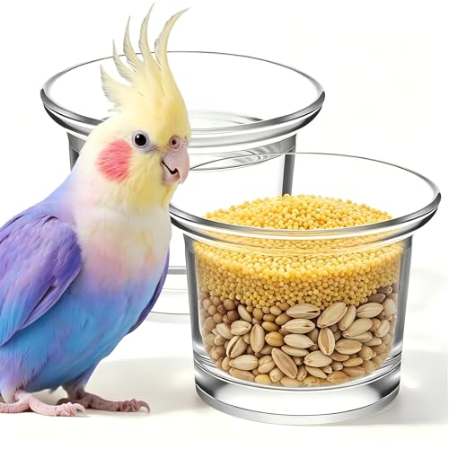 2 Pack Glass Oriole Feeder Cups, 2.44 x 1.81 x 1.89 Inch Replacement Jelly Bowls for Outdoor Feeders, Clear Dishes for Hummingbirds and Small Birds