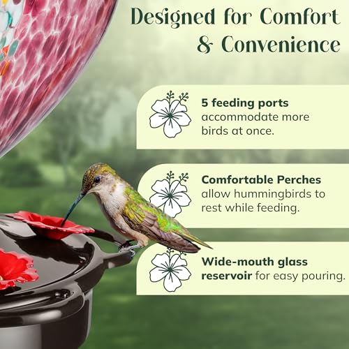 Hand Blown Glass Hummingbird Feeder for Outdoors All Season Use - 28 Fl. Oz. Leak Proof Hummingbird Feeder with Rust Proof Base - Includes Ant Moat, Ant & Bee Proof (Purple) - color: Purple