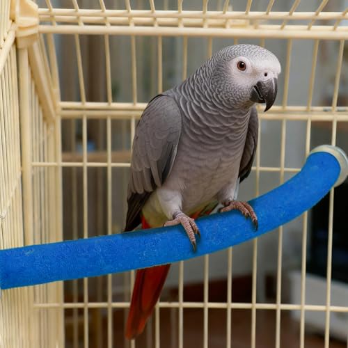 Rypet 90-Degree Parrot Perch for Cage Corner, Quartz Bird Perch (Blue XL) | For Paw Grinding Clean Stick Exercise, Rough Quartz Surface, Cage Accessorie, Small Parakeets Cockatiel Conures - color: Blue-corner-90, size: X-Large