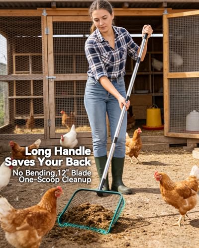 12" Chicken Poop Scooper, Stainless Steel Handle (36–62") | Light weight chicken coop scoop, Litter Scooper & Sand Sifting Shovel for chicken sand, Pet Waste Cleaning，Stables, Gardens
