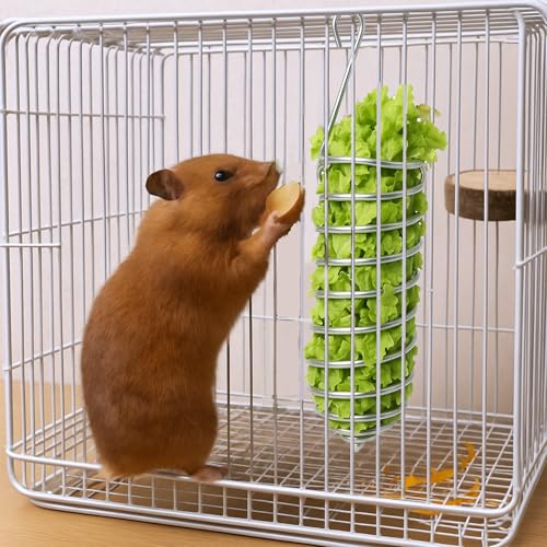 2Pcs Rat Enrichment Toys Bird Food Holder Rat Parrot Foraging Toy | Stainless Steel, Hanging Rodent Toy, Fruit Vegetable Holder, Puzzle Toy, Slow Feeder, Parakeet Foraging
