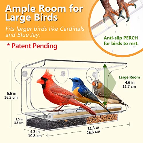 LUJII Shatterproof Window Bird Feeder with Strongest Suction Cups, Polycarbonate Window Mount Feeder with Crystal Clear View & Life-Out Tray, Fits Bigger Birds Like Cardinal or Blue Jay, Clear - color: Clear, size: M