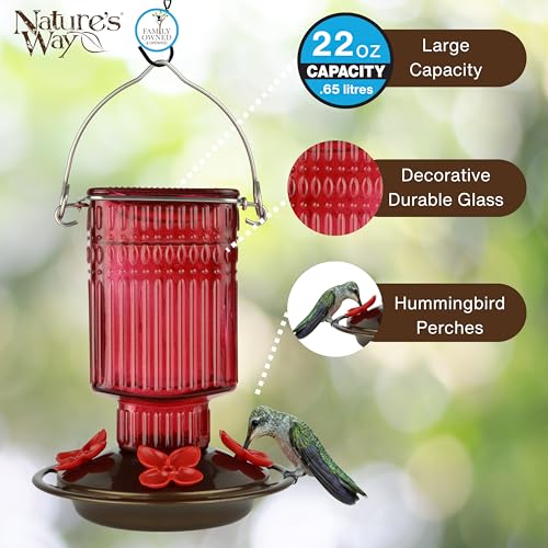 Nature’s Way Antique Red Dahlia Glass Gravity Hummingbird Feeder with Bronze Plastic Base, 22 Ounce Capacity, 4 Flexible Flower Ports and Perches, Bee-Resistant Design - color: Red