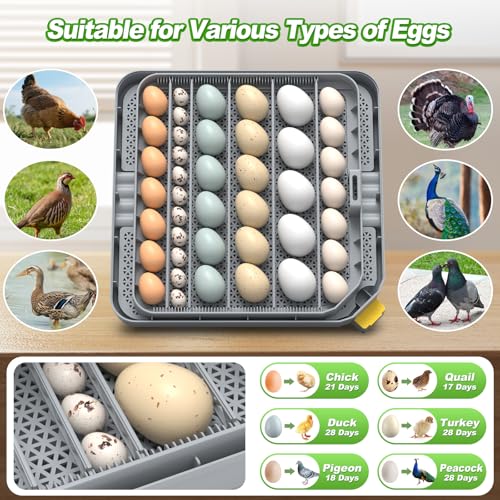 Egg Incubator for Hatching 48-132 Chicken/Quail/Turkey Eggs, 360° View Poultry Incubators with Automatic Egg Turning/Humidity Control&Alarm/Auto Water Adding/Adjustable Tray, for Beginner/Farm/Home
