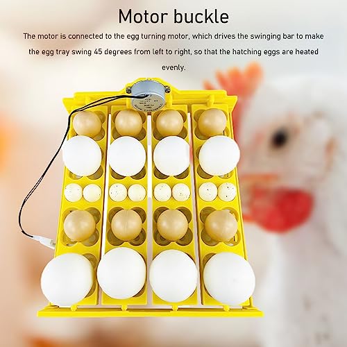Egg Turning Tray, AC 110V Chicken Multifunction Automatic Turner Incubation, Quail Incubators for 16 Duck Eggs 16 Eggs 72 Quail Eggs - size: AC110V