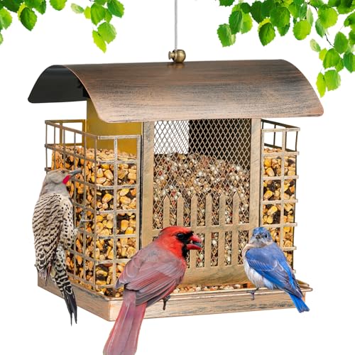 Suet Bird Feeders for Outdoors Hanging, Upgraded Metal Cage Birdfeeder | 2-in-1 Bird Feeder Attracts Woodpeckers, Finches, Sparrows - Wild Bird Feeder Ideal for Garden Yard Decor & Gift