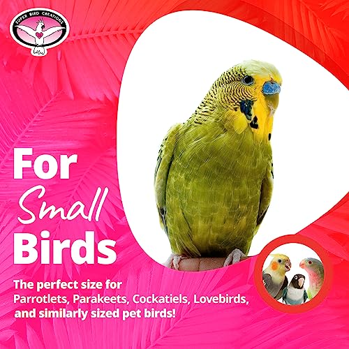 Super Bird Creations SB1148 Sure-Grip Grooming Y-Perch Small, Small/Medium Bird Size - Enriches Beak and Foot Health - Ideal for Parrotlets Parakeets Quakers - Small Bird Size, 3/4" diam x 8" (Small)