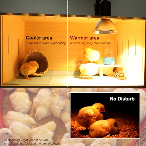 Heat Lamp for Chicken Coop Tiny Chicks Brooder, Basking Spot Flood Light White Bulbs Replaceable E26 Base 50 Watt Chick Heater for Reptile Pets Duckling Poultry Livestock