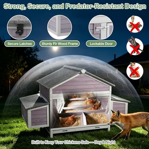 Large Chicken Coop for 2-4 Chickens, Outdoor Wooden Hen House with Weatherproof Asphalt Roof, 4 Sectionable Nesting Box, Dual Ramp Doors, Pull-Out Tray, 67.3" L x 36.8" W x 40.6" H - Grey - size: 67.3"L x 36.8"W x 40.6"H