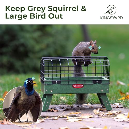 Kingsyard Squirrel Proof Caged Platform Bird Feeder for Small Birds | Recycled Poly Lumber, Protective Metal Cage, Raised Platform, Drainage Mesh Tray, Foldable Legs for Outdoor Bird Feeding - color: Green