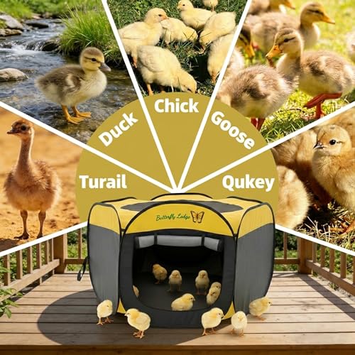 Chick Brooder Box and Heating Plate Starter Kit – Large Indoor Brooder Pen with 75W Adjustable Heat Plate, Feeder, Waterer & Cleaner – Complete All-in-One Chick Coop for 10-15 Chicks