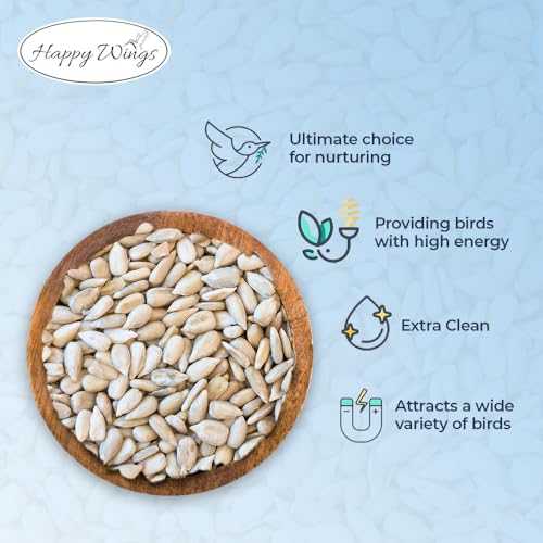 Happy Wings 15LB Sunflower Heart & Chips (Kernels) Wild Bird Food, No Waste | No Mess Feeding, High in Oil & Protein, High Fat & Energy Content, USDA & BRC-GS Approved, Cardinals, Chickadees, Finches - size: 15 Pound (Pack of 1)