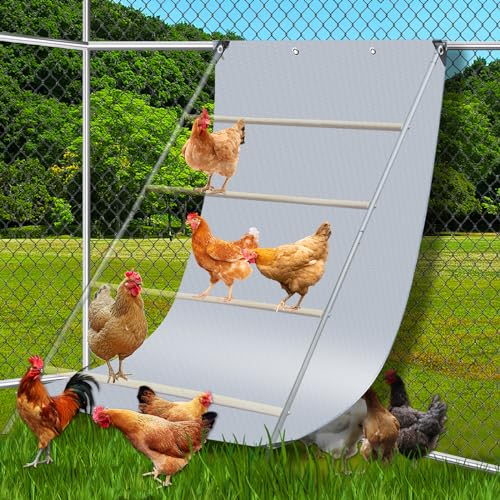 Chicken Coop Poop Hammock Waterproof and UV, 6.5 * 4 FT Poop Deck | with 8pcs Ball Bungees Cords, Chicken Roosting Perch to Catch the Chicken Poop for Poultry（Not Include Perch)