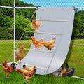 Chicken Coop Poop Hammock Waterproof and UV, 6.5 * 4 FT Poop Deck | with 8pcs Ball Bungees Cords, Chicken Roosting Perch to Catch the Chicken Poop for Poultry（Not Include Perch)