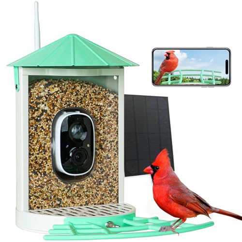 Smart Bird Feeder with Camera Solar, Auto Capture Bird Videos & Motion Detection, Birds Watching Camera Notify in Time, Metal Birds Feeder with Seed Guard, Ideal Present for Mom (Green) - color: Mint Green