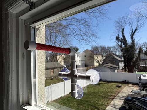 CleanPerch™ Window Bird Perch with Suction Cups. Grooming & Outside Viewing Perch for Parrots, Conures & Small Birds. Window-Mounted Bird Stand (White/Pink, 6") - color: Pink, size: 6"