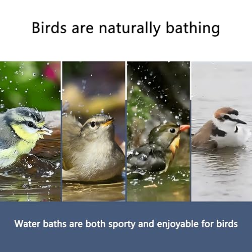 Bird Bath for Cage - Parakeets, Canaries & Finches (Gray) | 6.1x5.1x6" versatile box for bathing, feeding, water, and hatching. Perfect size for lovebirds and other small pet birds - color: gray