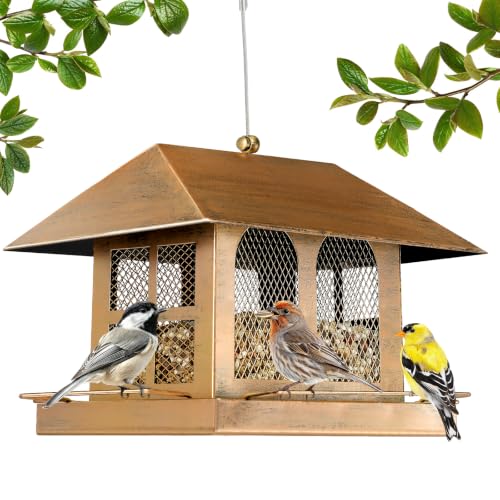 Bird Feeders 3.5LBS for Outdoors Hanging | fit for House Finches, American Goldfinches, Black-capped Chickadees, House Sparrows, Pine Siskins, Chipping Sparrows so on - size: 3.5LBS