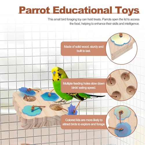 ASTIMESA 2 Packs Triangle & Square Parrot Foraging Feeder, Wooden Bird Enrichment Plaything Stand, Interactive Foraging Plaything for Birds Parakeet Pet Budgie Cockatiel Cage Feeding (Wooden)