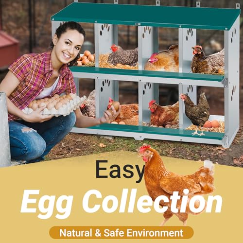 Chicken Nesting Box, 8 Compartment Metal Nesting Box | Wall Mountable Nesting Boxes for Chicken, 42.5" L x 13.0" W x 25.0" H, Green