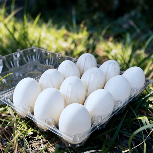 40 Pack Duck Egg Cartons 12 Count Cheap Bulk, Plastic Duck Egg Tray | for Duck & Turkey Eggs, Reusable, Clear, for Family, Small Farm, Backyard Coop & Egg Sellers