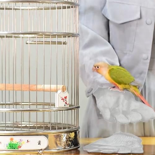 QBLEEV 1 Pair Bird Handling Anti-Bite Gloves, Small Animal Bite Proof Gloves for Training - color: White