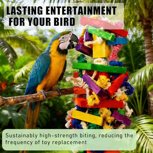 Parrot Toys for Large Birds, Natural Wood Chew Toy | Strong construction withstands daily chewing by macaws, African greys and similar large birds.