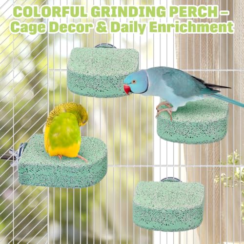 BNOSDM 4 Pcs Green Bird Beak Grinding Stone Calcium Parrot Perch 3.1*2.6in - color: 4 Pcs- Green (M+)