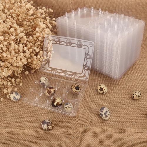 220 Pack Quail Egg Cartons, Clear Plastic Quail Egg Trays, Holds up to 12 Quail Eggs Securely - Your Ultimate Small Eggs Carton Holders for Bulk Storage and Display - size: 220 Pack Quail Egg Cartons 12 Grids
