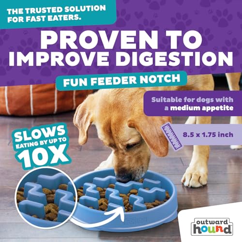 Outward Hound Fun Feeder Slo Bowl – 2‑Cup Capacity, Slow Feeding, Small to Medium Dogs & Cats, Non-Slip, Blue, Notch Pattern, Medium (Pack of 12) - color: Blue, size: Medium (Pack of 12)