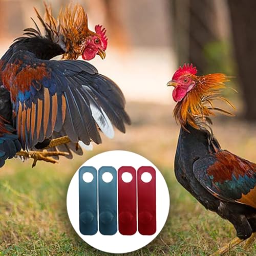 Gamefowl Supplies Chicken Leg Bands Rooster Booster Protection Accesorios para Gallos De Pelea Accessories Tie Cords for Gamefowl Accessories 2 Pairs Blue & Red, Leg Protect & Care - color: Sky Bue and Red