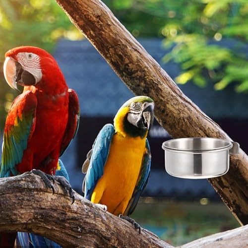 Stainless Steel Bird Food Bowl Parrot Feed Cup with Brackets Bird Cage Feeder Cups for Parakeets Cockatiels Doves Pigeons Hanging Food and Water Dish 4-Pack 4.92 X 3.93 X 3.54 in - size: 4PCS