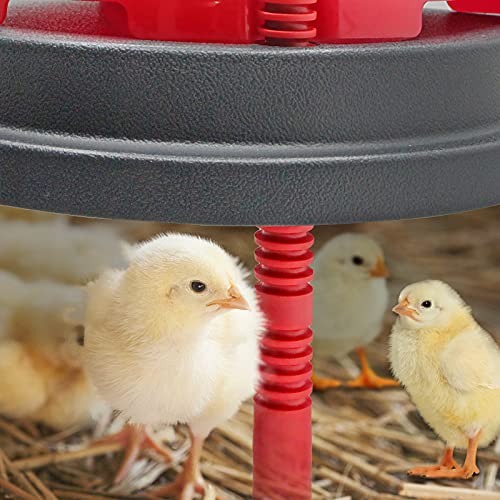 Chick Duckling Brooder Heating Plate- Chicken Coop Brooder Heater Like Mother Hen,Safer Than Brooder Lamps Heater -Warm Up to 15 Chick,Ducklings(Chick Brooder Heating Plate)