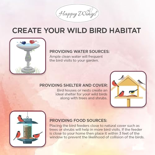 Happy Wings 5LB Shelled Peanuts Bird Food, No Grow Seeds, 100% Edible | High in Oil & Protein, High Energy Content, No Waste Bird Seeds, Heat Treated at Optimum Temperature, USDA & BRC-GS Approved - size: 5 Pound (Pack of 1)