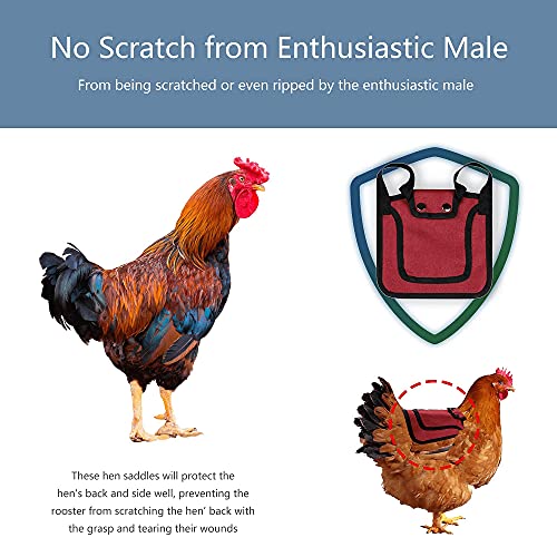 2 Pieces Premium Chicken Saddle for Hens and Roosters, Outdoor Hen Saddles with Adjustable Strap, Chicken Sweater Aprons, Birds Feather Protector for Back and Sides, Suitable for 5-7.6lbs, Red & Blue