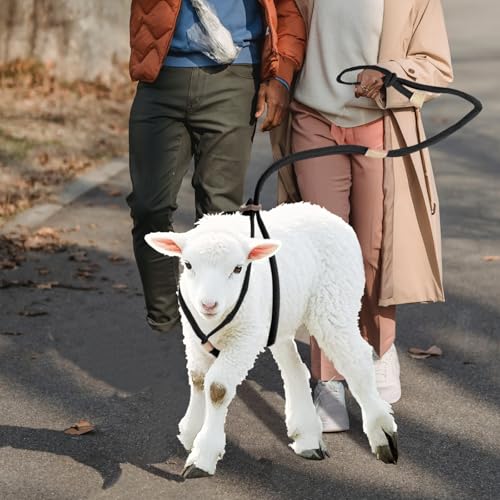 Goat Harness For Walking - Washable Goat Leash And Accessories - Livestock Supplies - color: Black
